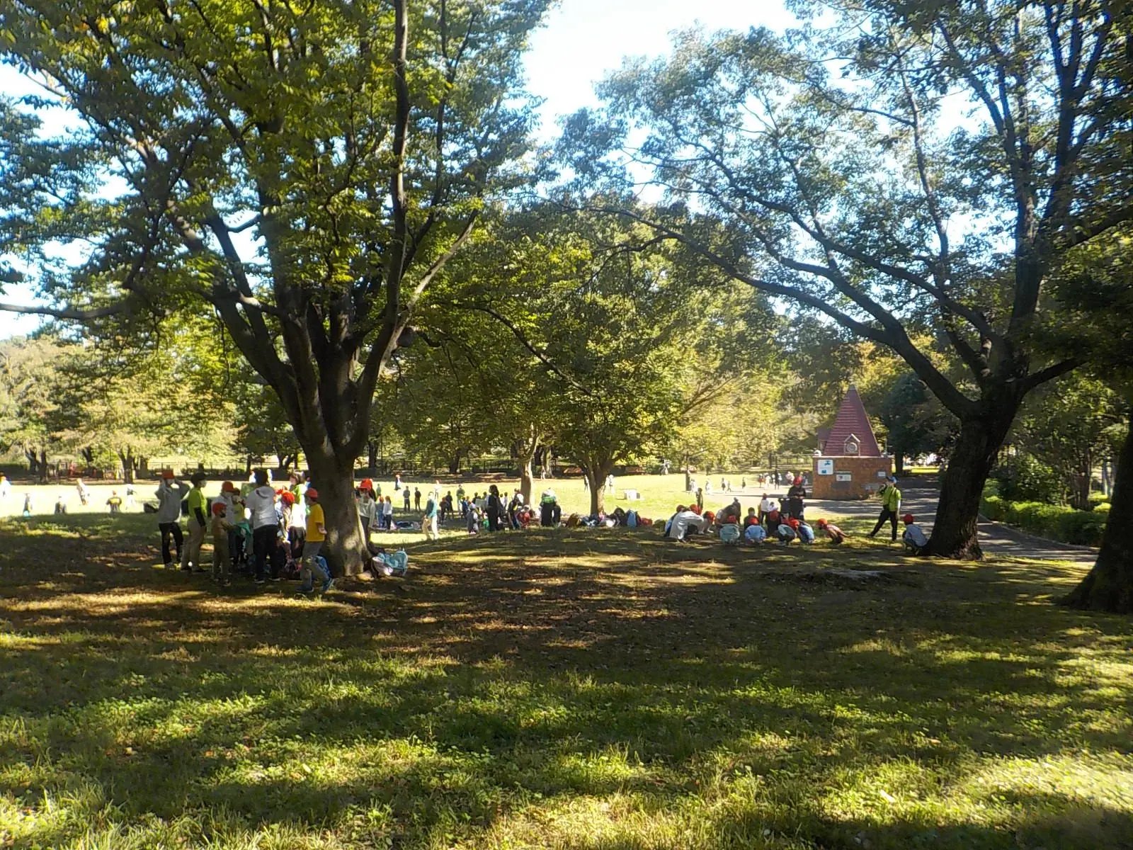 🌳 도립 소시가야 공원 (토리츠 소시가야 코엔) 이미지 4